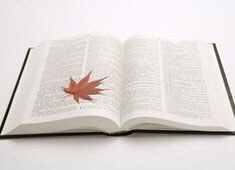 火爆对决！球队逐梦追寻胜利