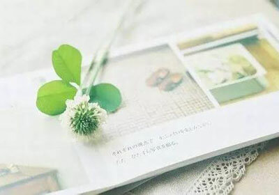 佛罗伦萨新帅上任，全队备战磨砺