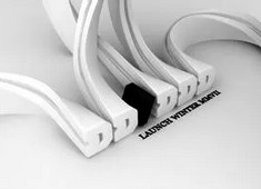 瓦妮莎松开-巴斯现搜加份资料（图）